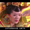49图库电脑版下载